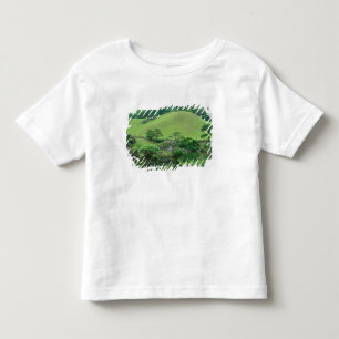 Azië, Japan, Kumamoto, Suizenji Koen Kinder Shirts