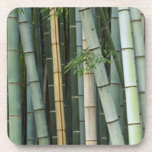 Azië, Japan, Kyoto, Arashiyama, Sagano, Bamboe Onderzetter