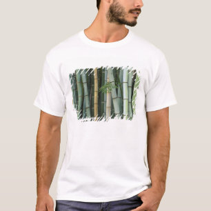 Azië, Japan, Kyoto, Arashiyama, Sagano, Bamboe T-shirt