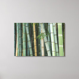 Azië, Japan, Kyoto, Arashiyama, Sagano, Bamboo Canvas Afdruk