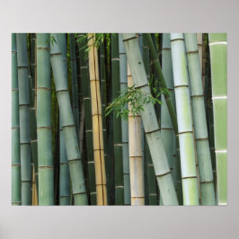 Azië, Japan, Kyoto, Arashiyama, Sagano, Bamboo Poster