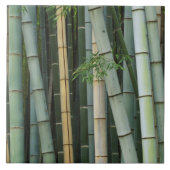 Azië, Japan, Kyoto, Arashiyama, Sagano, Bamboo Tegeltje (Voorkant)