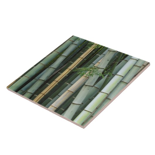 Azië, Japan, Kyoto, Arashiyama, Sagano, Bamboo Tegeltje (Zijkant)