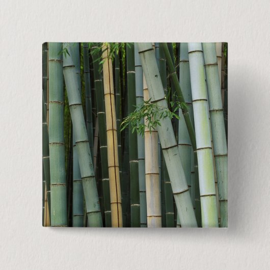 Azië, Japan, Kyoto, Arashiyama, Sagano, Bamboo Vierkante Button 5,1 Cm (Voorkant)