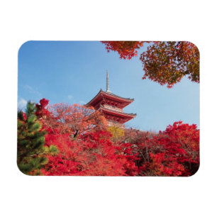 Azië, Japan, Kyoto. Herfst Kleur Magneet