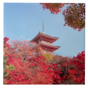 Azië, Japan, Kyoto. Herfst Kleur Tegeltje