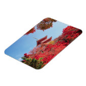 Azië, Japan, Kyoto. Najaarkleur Magneet (Linkerzijde)