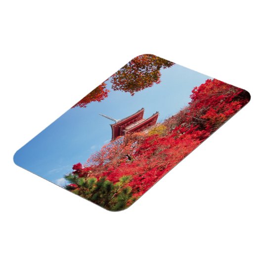 Azië, Japan, Kyoto. Najaarkleur Magneet (Linkerzijde)