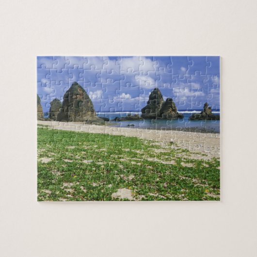 Azië, Japan, Okinawa, Kustlijn Yambaru, Zee Legpuzzel (Horizontaal)