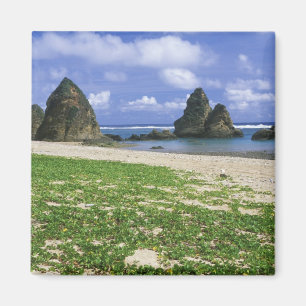 Azië, Japan, Okinawa, Yambaru-kustlijn, Zee Magneet
