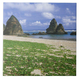 Azië, Japan, Okinawa, Yambaru-kustlijn, Zee Tegeltje