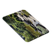 Azië, Japan, Tokio. De Japanse tuin aan het Magneet (Rechterzijde)