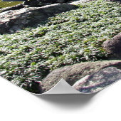 Azië, Japan, Tokio. De Japanse tuin aan het Poster (Hoek)