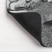 Azië, Japan, Tokio, Details, Imperial Palace Muismat (Hoek)