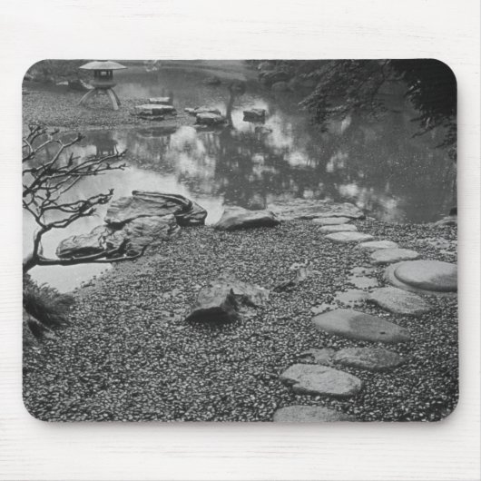 Azië, Japan, Tokio, Details, Imperial Palace Muismat (Voorkant)