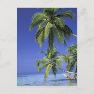 Azië, Maldiven. Man in hangmat op Briefkaart