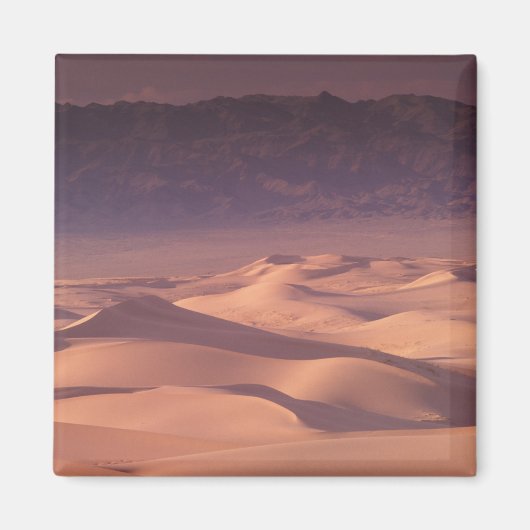 Azië, Mongolië, de Gobi-woestijn, Gobi Gurvansaikh Magneet (Voorkant)