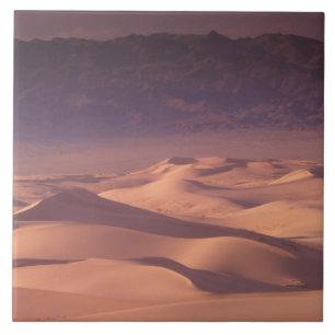 Azië, Mongolië, de Gobi-woestijn, Gobi Gurvansaikh Tegeltje