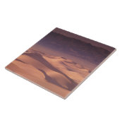 Azië, Mongolië, de Gobi-woestijn, Gobi Gurvansaikh Tegeltje (Zijkant)