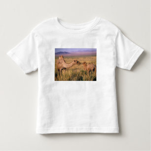 Azië, Mongolië, Gobi-woestijn, Grote Gobi Kinder Shirts