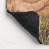 Azië, Mongolië, Gobi-woestijn, Grote Gobi Muismat (Hoek)