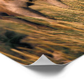 Azië, Mongolië, Gobi-woestijn, Grote Gobi Poster (Hoek)