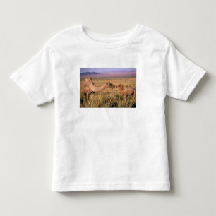 Azië, Mongolië, Gobiwoestijn, Grote Gobi Kinder Shirts