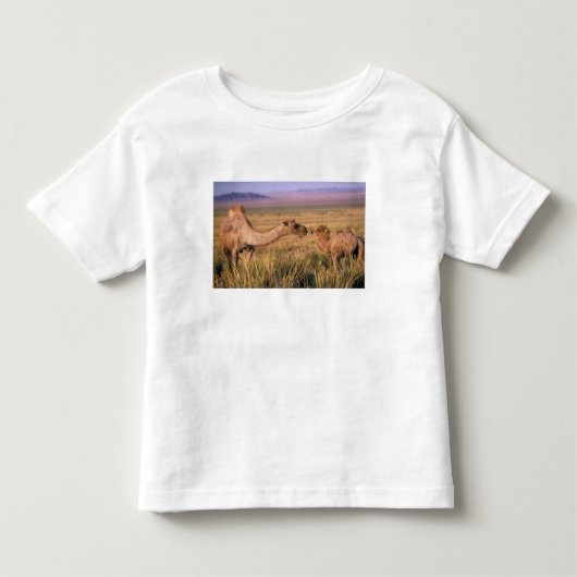 Azië, Mongolië, Gobiwoestijn, Grote Gobi Kinder Shirts (Voorkant)