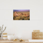 Azië, Mongolië, Gobiwoestijn, Grote Gobi Poster (Keuken)