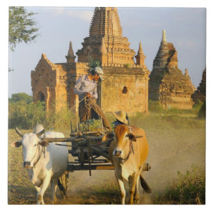 Azië, Myanmar (Birma), Bagan. Een kar is Tegeltje