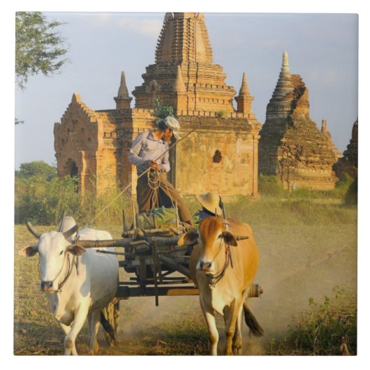 Azië, Myanmar (Birma), Bagan. Een kar is Tegeltje (Voorkant)