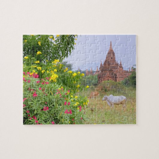 Azië, Myanmar (Birma), Bagan. Koeien Legpuzzel (Horizontaal)