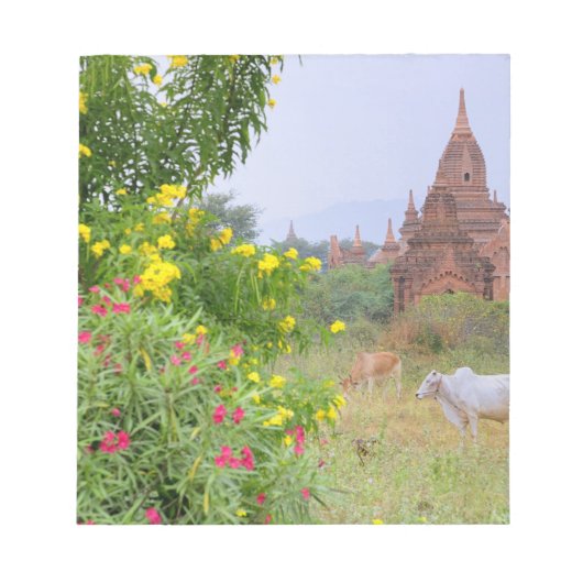 Azië, Myanmar (Birma), Bagan. Koeien Notitieblok (Voorkant)