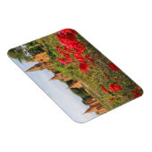 Azië, Myanmar (Birma), Bagan (Pagan). A Bagan Magneet (Rechterzijde)