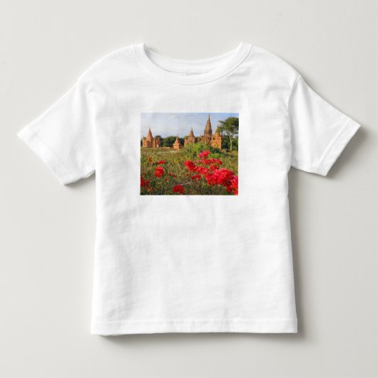 Azië, Myanmar (Birma), Bagan (Pagan). Een Bagan Kinder Shirts (Voorkant)