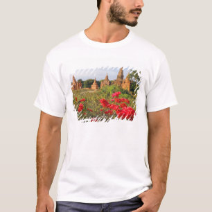Azië, Myanmar (Birma), Bagan (Pagan). Een Bagan T-shirt
