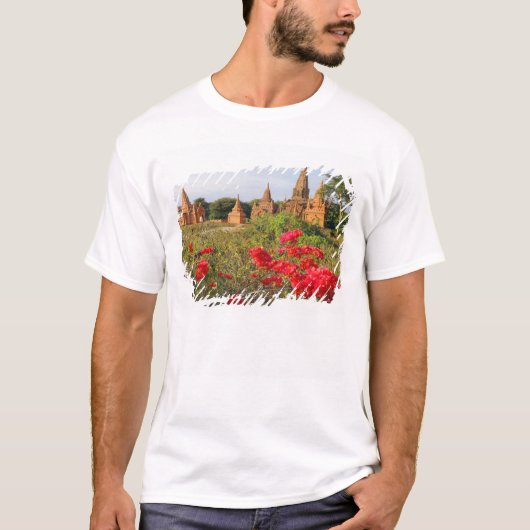 Azië, Myanmar (Birma), Bagan (Pagan). Een Bagan T-shirt (Voorkant)