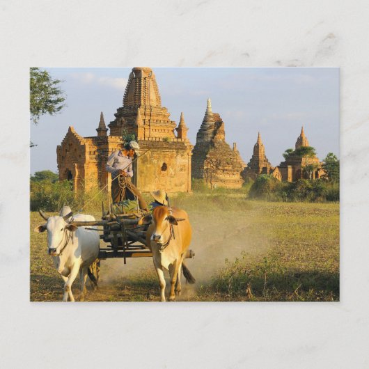 Azië, Myanmar (Birma), Bagan (Pagan). Een kar is Briefkaart (Voorkant)