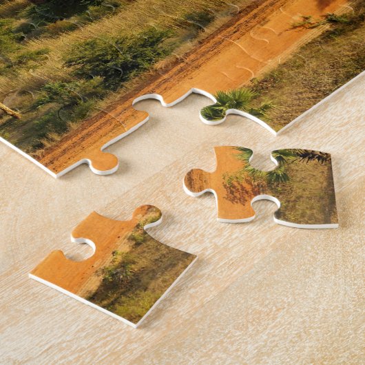 Azië, Myanmar (Birma), Bagan (Pagan). Verscheidene Legpuzzel (Zijkant)