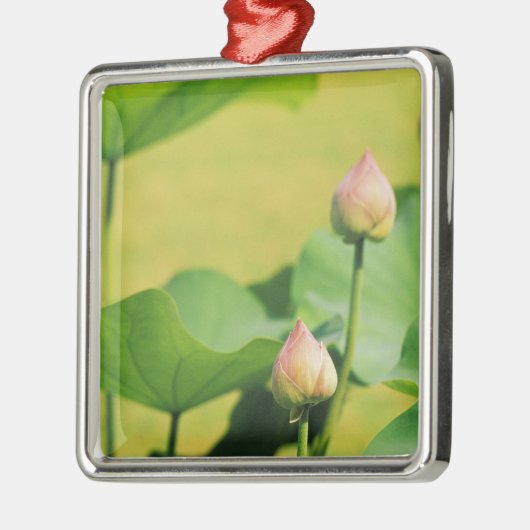 Azië, Thailand, Bangkok. Grand Palace, lotus Metalen Ornament (Links)