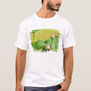 Azië, Thailand, Bangkok. Grote Koninklijk Paleis,  T-shirt
