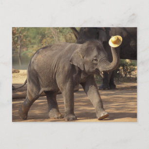 Azië, Thailand, Lampang Bowing met pet - Thai Briefkaart