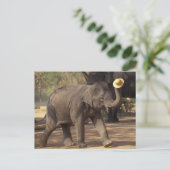 Azië, Thailand, Lampang Bowing met pet - Thai Briefkaart (Staand voorkant)