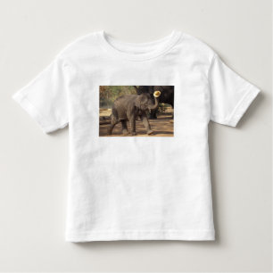 Azië, Thailand, Lampang Bowing met pet - Thai Kinder Shirts