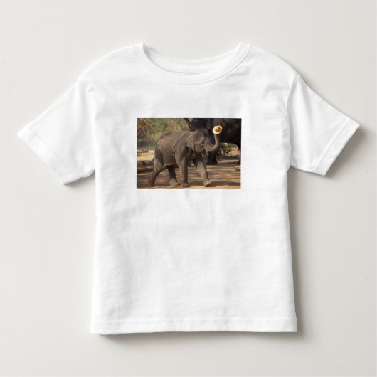 Azië, Thailand, Lampang Bowing met pet - Thai Kinder Shirts (Voorkant)