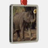 Azië, Thailand, Lampang Bowing met pet - Thai Metalen Ornament (Rechts)