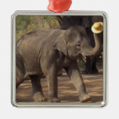 Azië, Thailand, Lampang Bowing met pet - Thai Metalen Ornament (Voorkant)