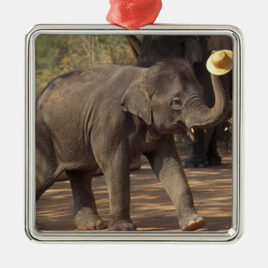 Azië, Thailand, Lampang Bowing met pet - Thai Metalen Ornament (Voorkant)