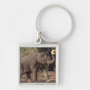 Azië, Thailand, Lampang Bowing met pet - Thai Sleutelhanger