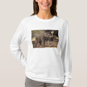 Azië, Thailand, Lampang Bowing met pet - Thai T-shirt